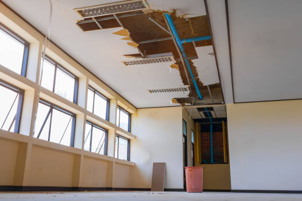 Best Ceiling water damage repair  in Vienna Bend, LA