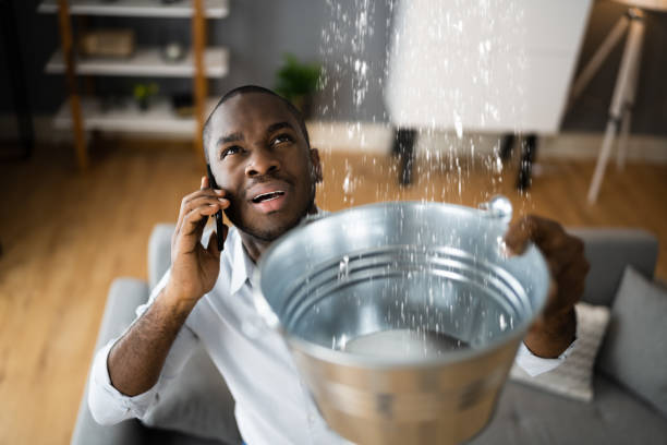 Best Water damage restoration experts  in Vienna Bend, LA