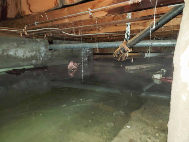 Best Flooded house restoration  in Vienna Bend, LA