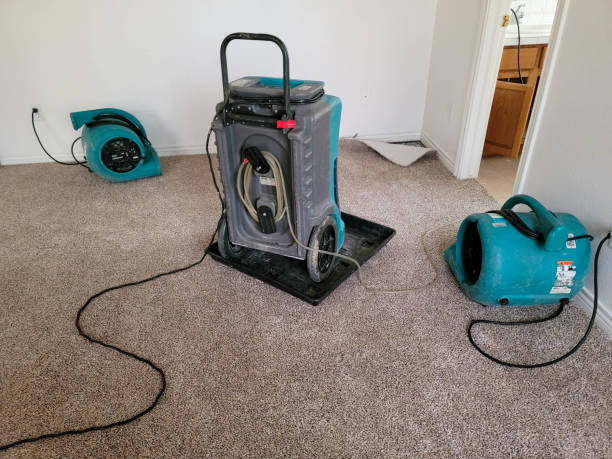 24/7 water damage repair in LA