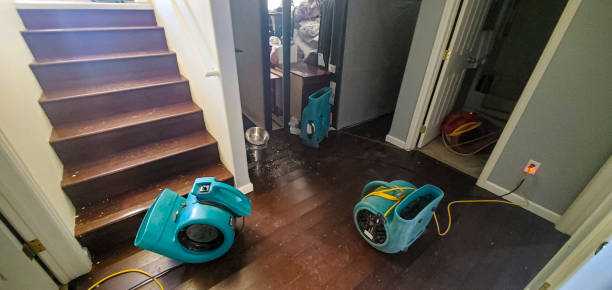 Best Local water damage restoration  in Vienna Bend, LA