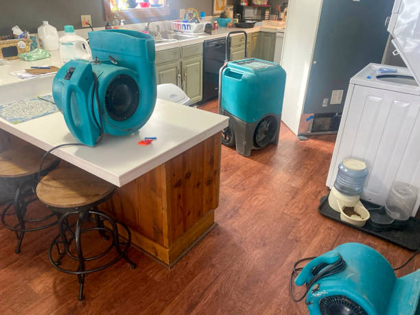 Best Fire Damage Restoration  in Vienna Bend, LA