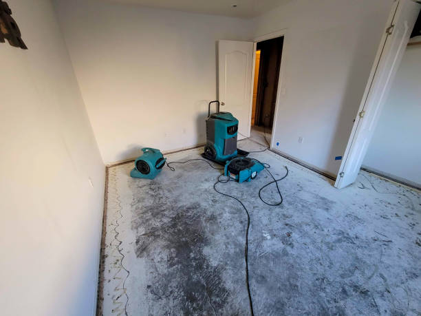 Best Flood restoration services  in Vienna Bend, LA
