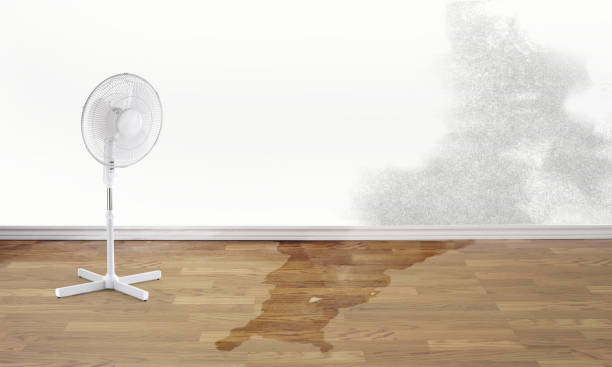 Best Sewage cleanup and water damage restoration  in Vienna Bend, LA