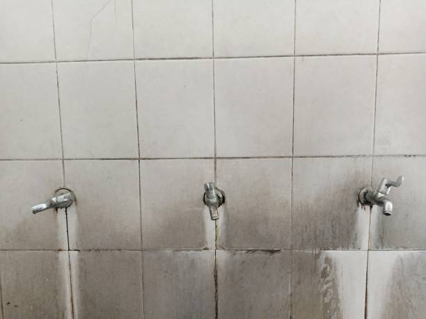 Best 24-hour water damage restoration  in Vienna Bend, LA
