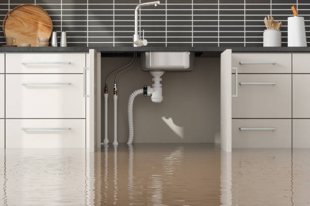 Best Water damage contractors near me  in Vienna Bend, LA