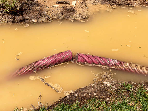 Water damage restoration experts in LA
