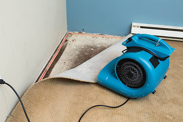 Best Carpet water damage restoration  in Vienna Bend, LA